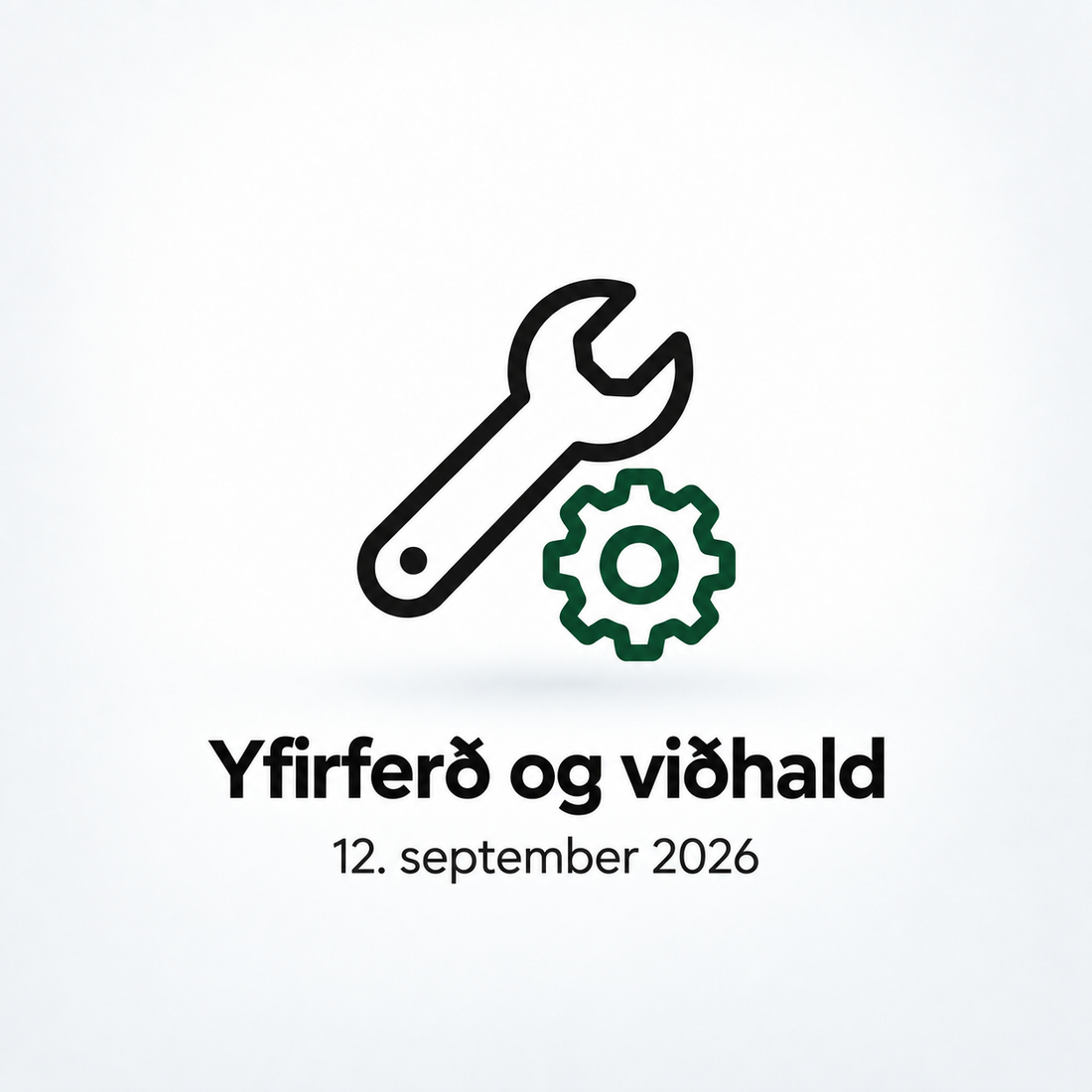Unnið að þjónustusamstarfi fyrir ESWING-tæki